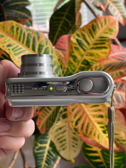 Nikon CoolPix L3 5.1 MP Digital Camera Bundle - Silver