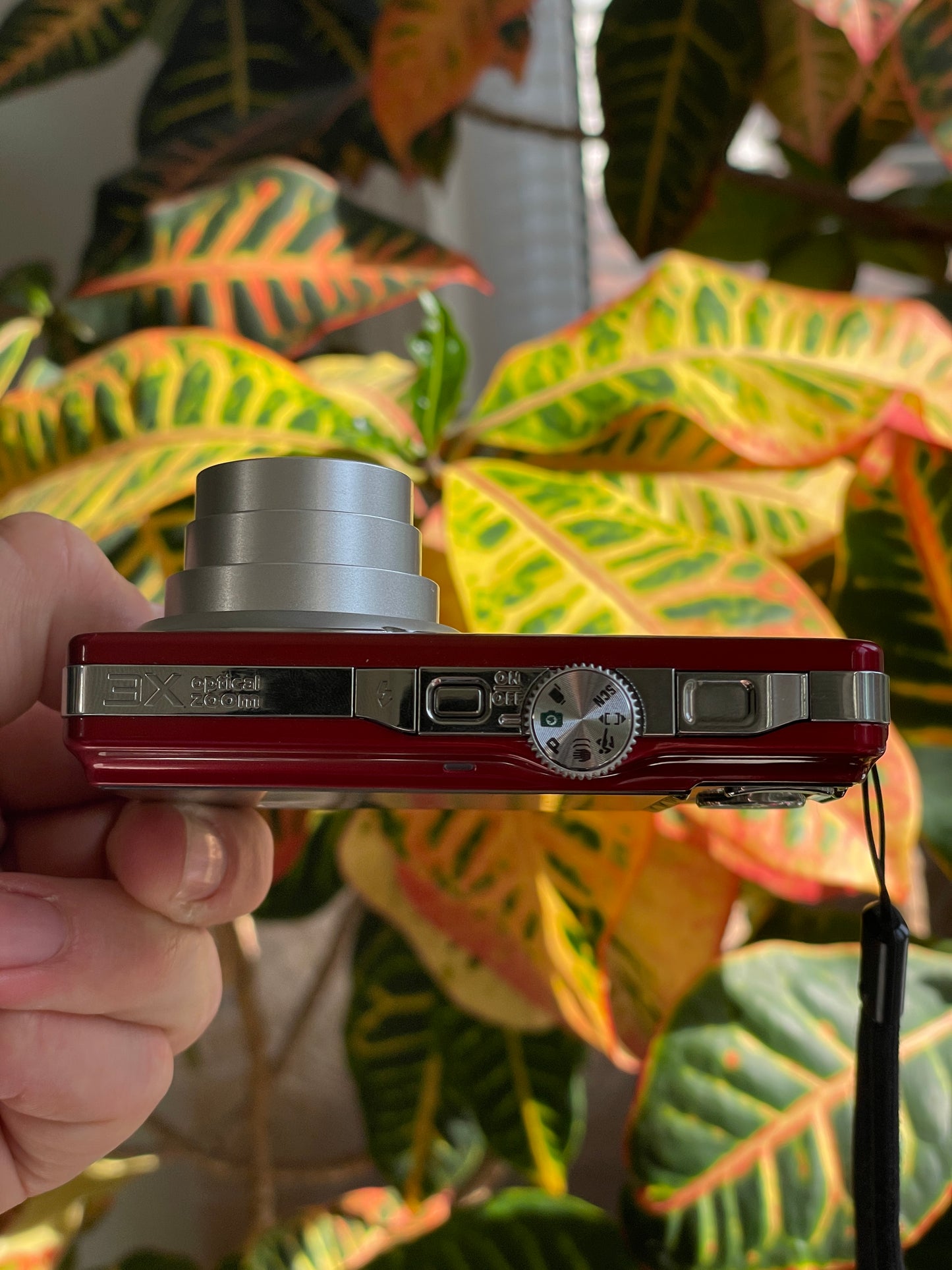 Kodak EasyShare M341 12.2 MP Digital Camera Bundle - Candy Red