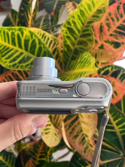 Nikon CoolPix L4 4.0 MP Digital Camera Bundle - Silver