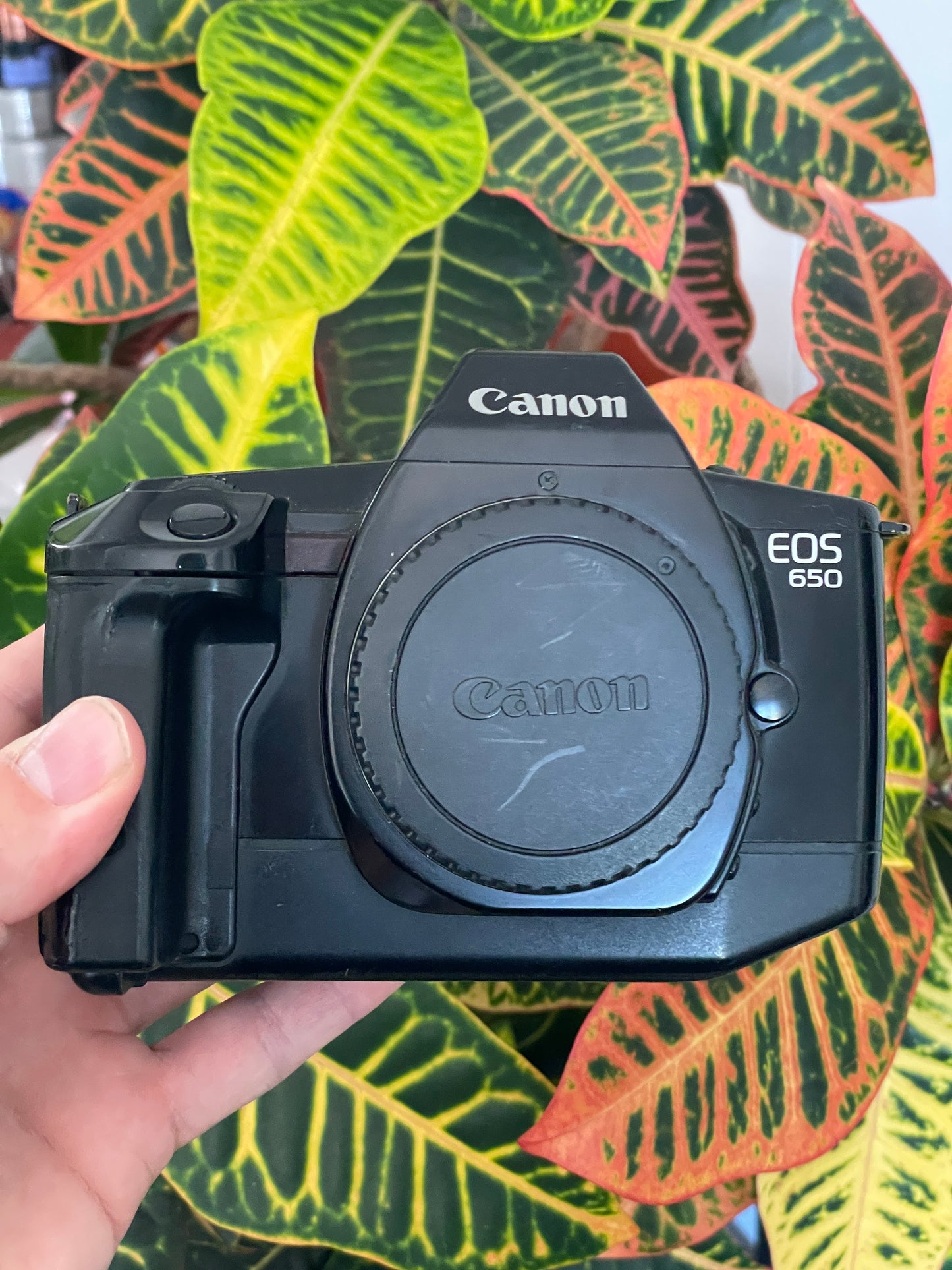 Canon EOS 650 35mm SLR Film Camera Bundle