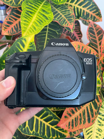Canon EOS 650 35mm SLR Film Camera Bundle