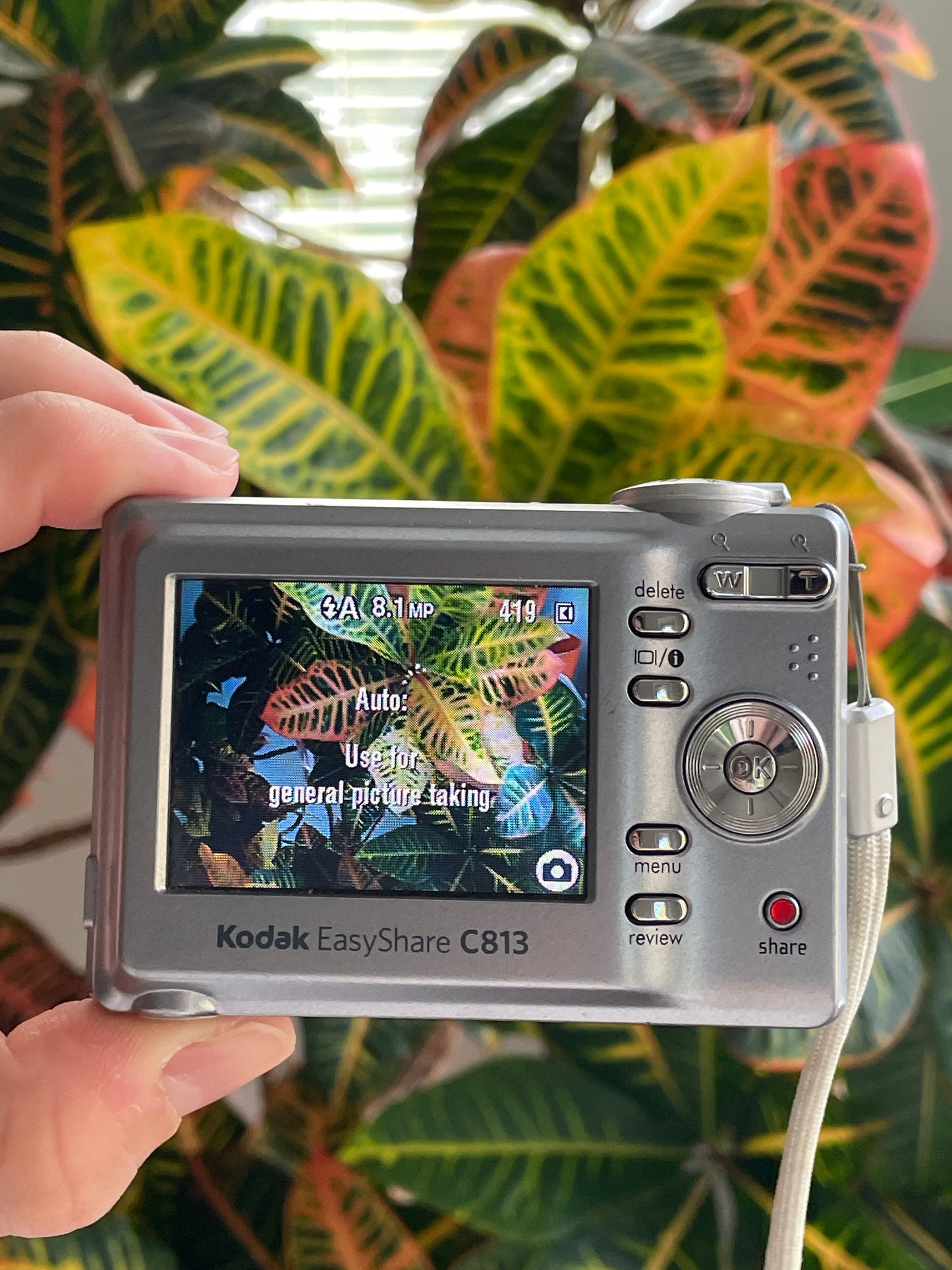 Kodak EasyShare C813 8.2 MP Digital Camera Bundle - Grey