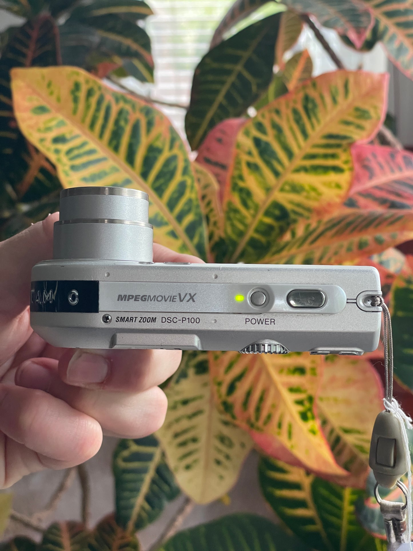 Sony Cyber-Shot DSC-P100 5.1 MP Digital Camera Bundle - Silver