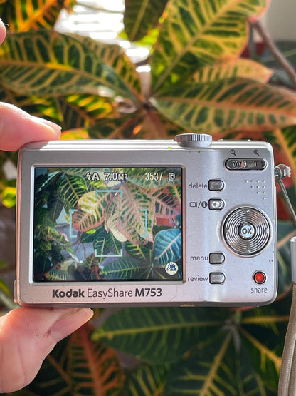 Kodak EasyShare M753 7.0 MP Digital Camera Bundle - Silver