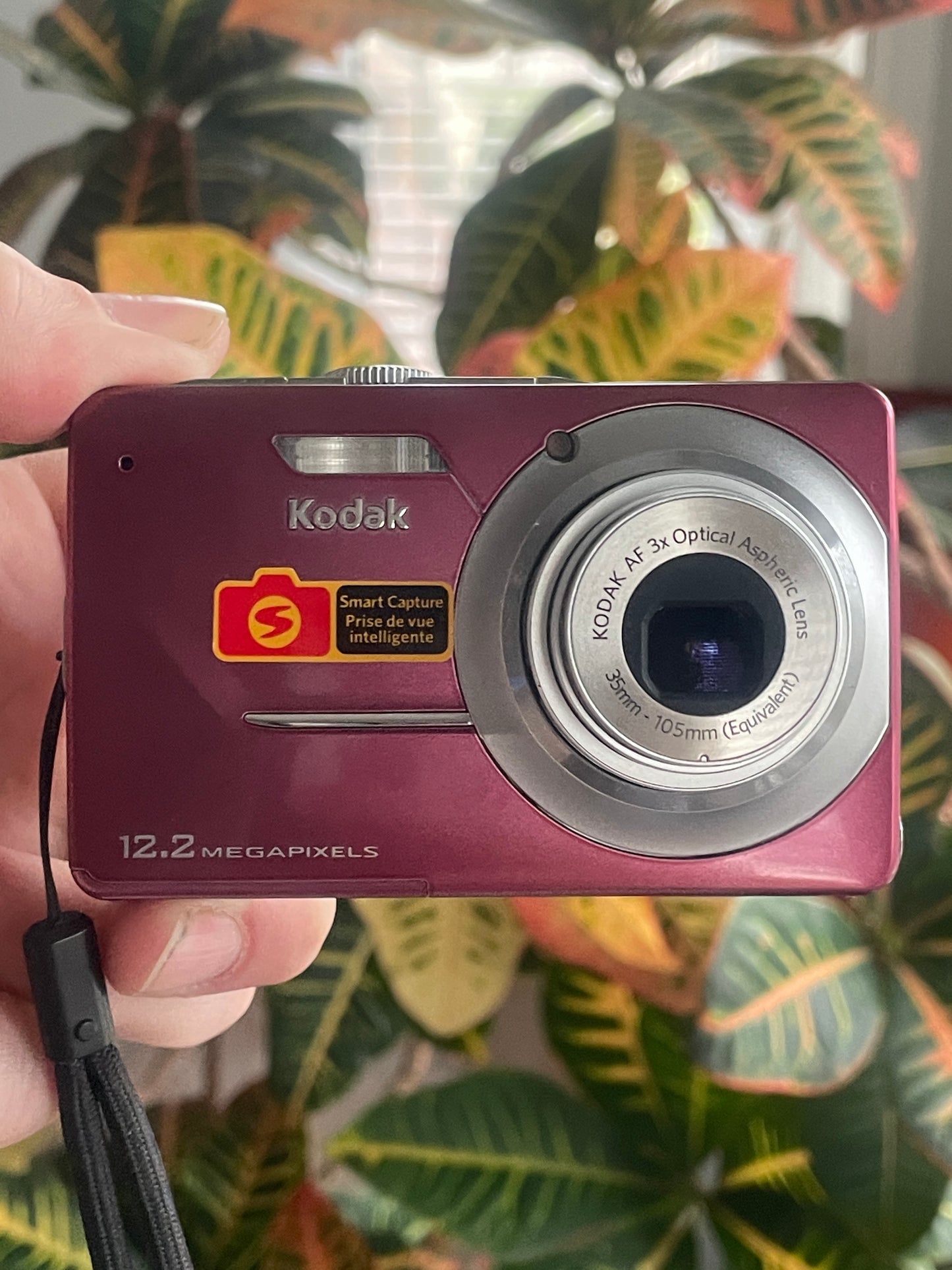Kodak EasyShare M341 12.2 MP Digital Camera Bundle - Pink