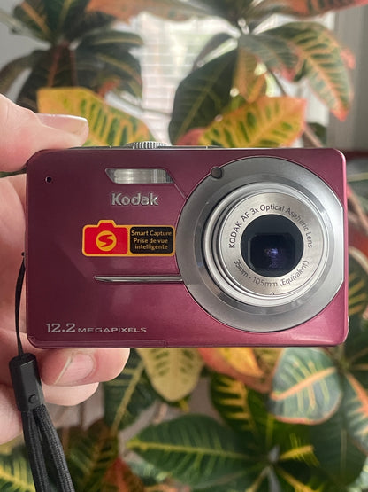 Kodak EasyShare M341 12.2 MP Digital Camera Bundle - Pink
