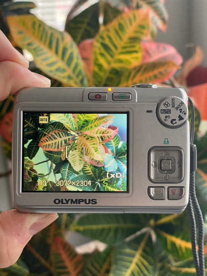 Olympus FE-210 7.1 MP Digital Camera Bundle - Silver