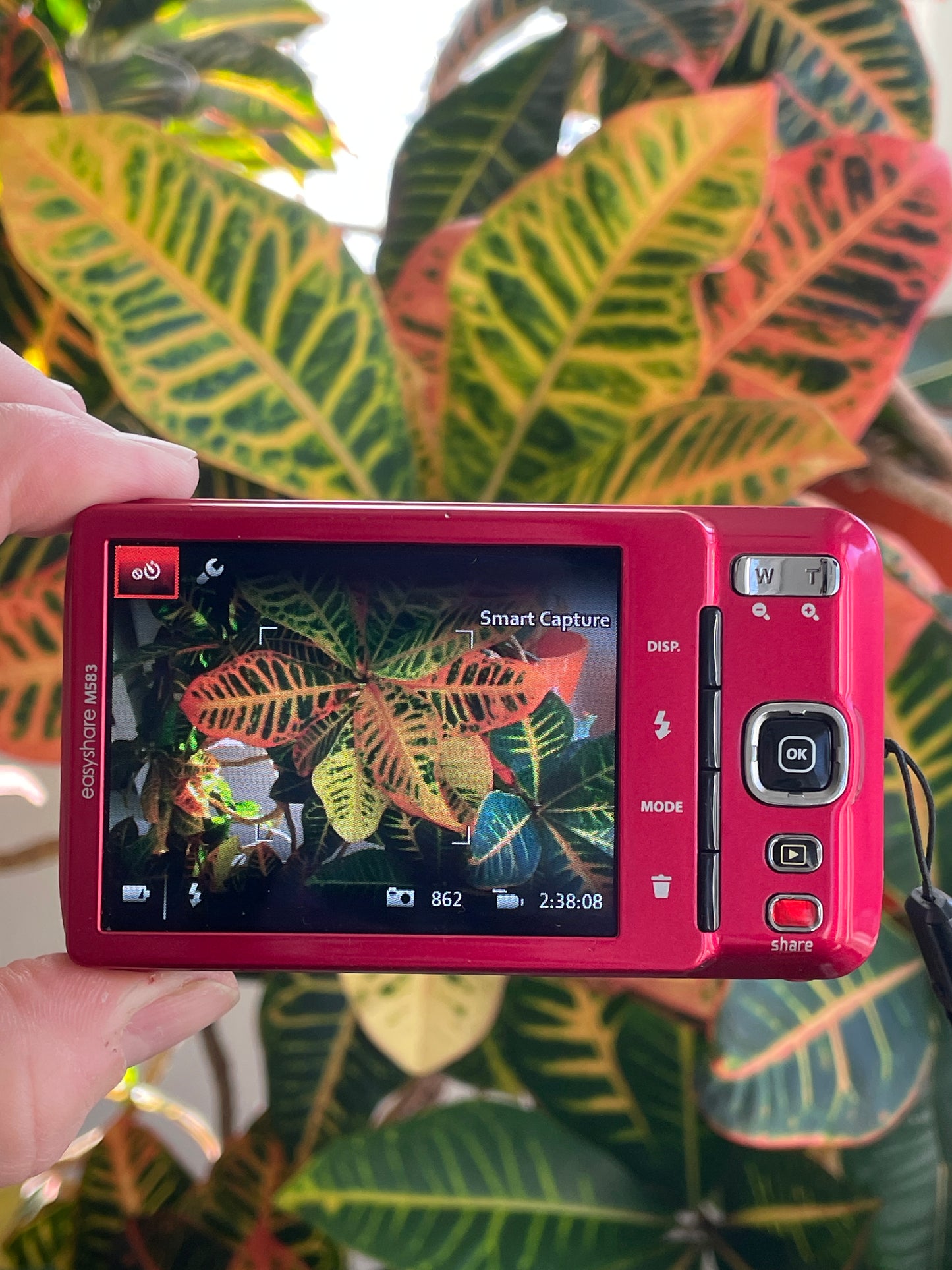 Kodak EasyShare M583 14 MP Digital Camera Bundle - Red