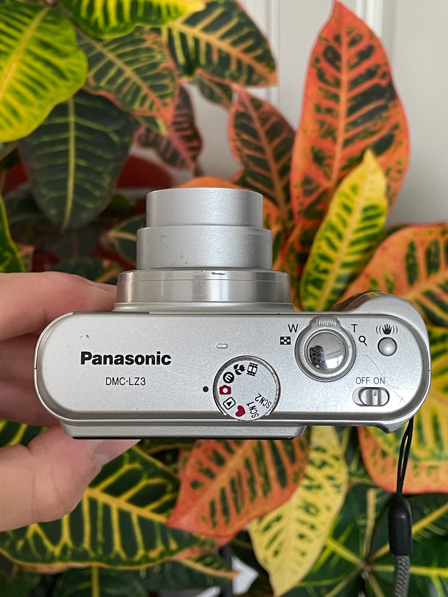 Panasonic Lumix DMC-LZ3 5.0 MP Digital Camera Bundle