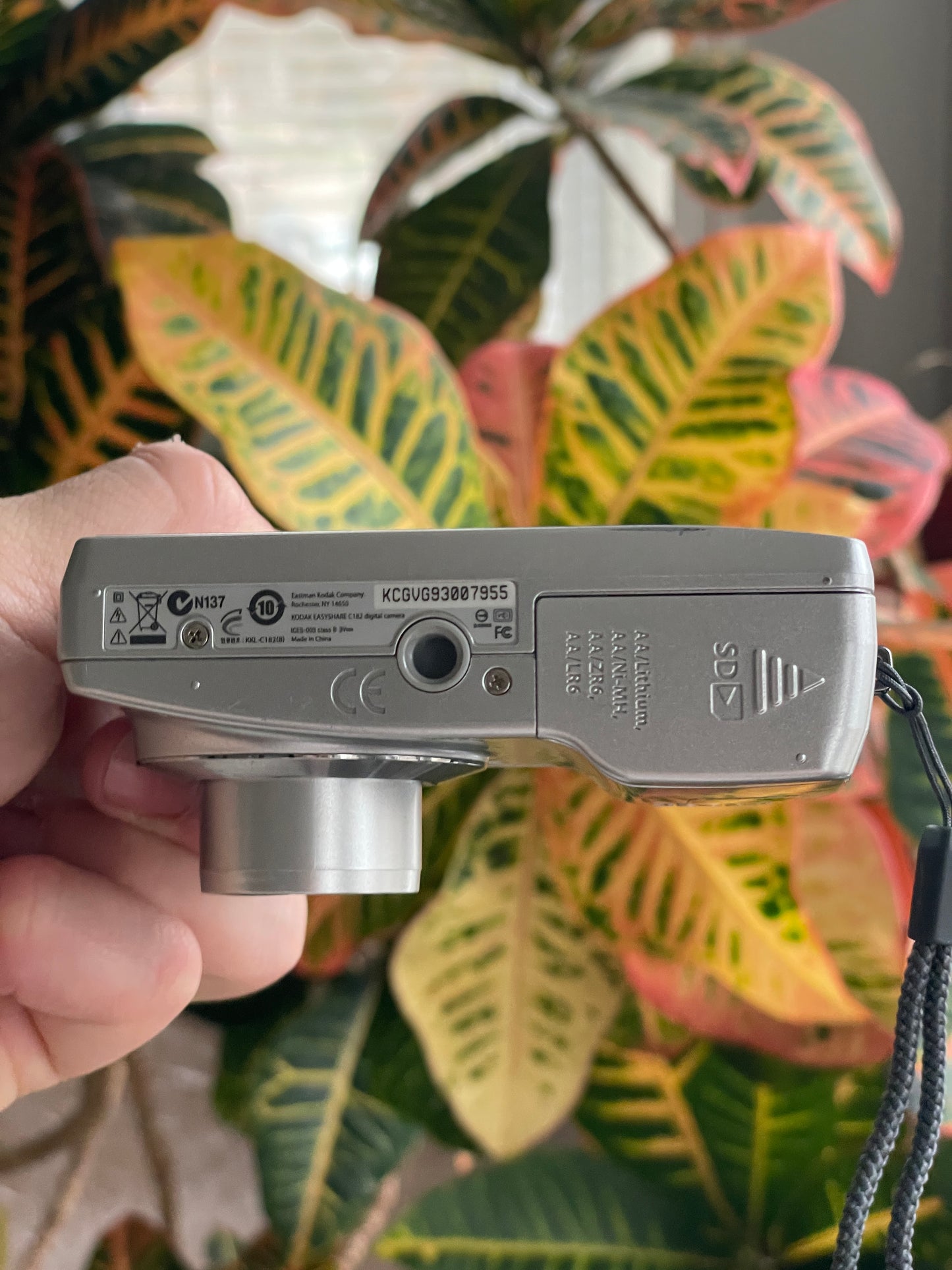 Kodak EasyShare C182 12 MP Digital Camera Bundle - Silver