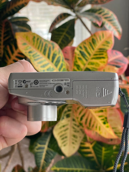 Kodak EasyShare C182 12 MP Digital Camera Bundle - Silver