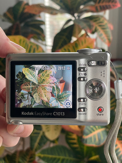 Kodak EasyShare C1013 10.3 MP Digital Camera Bundle - Silver