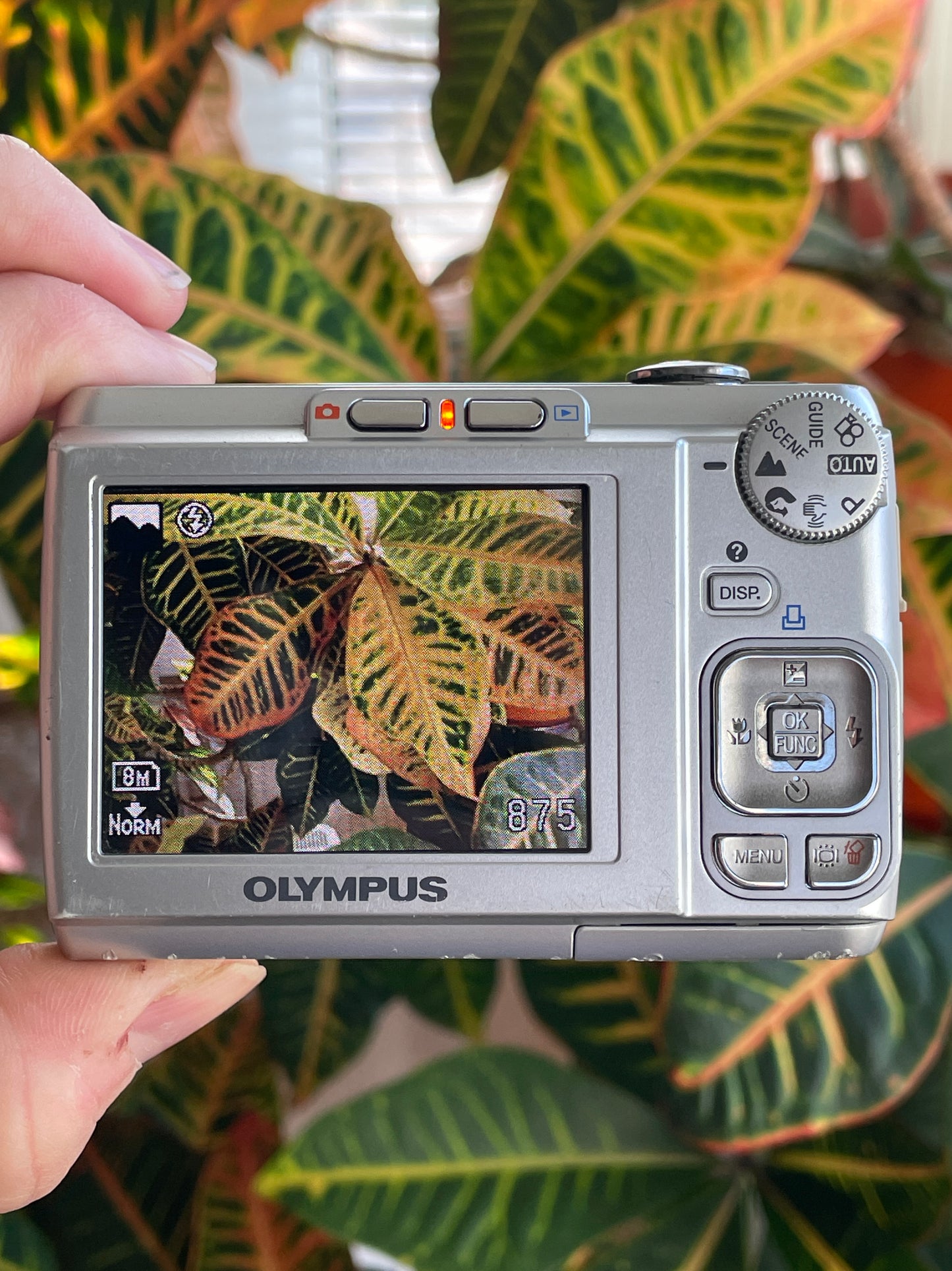 Olympus FE-310 8.0 MP Digital Camera Bundle - Silver