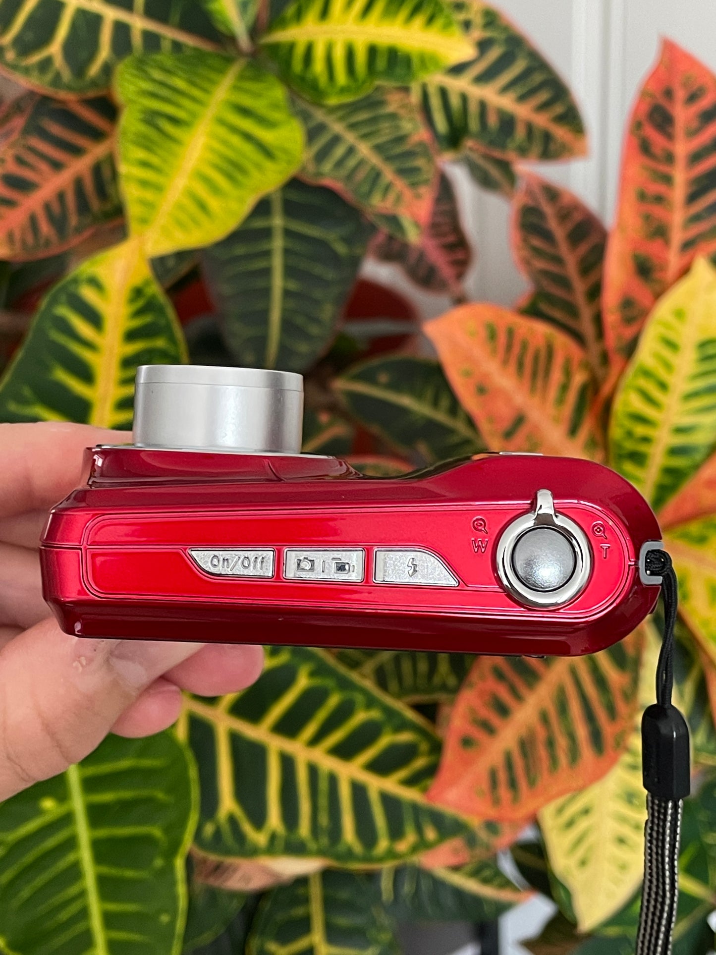 Kodak EasyShare C143 12 MP Digital Camera Bundle - Red