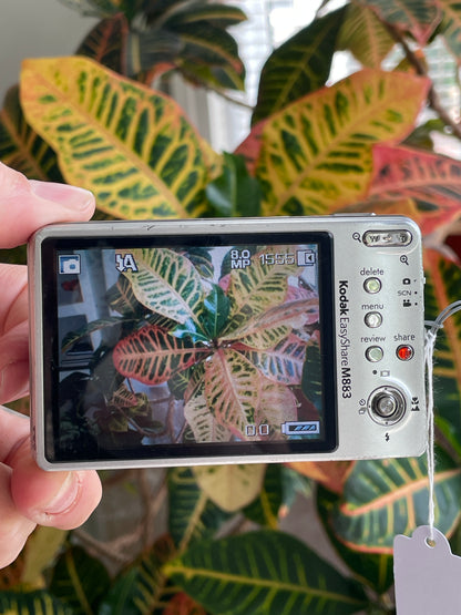 Kodak EasyShare M883 8.0 MP Digital Camera Bundle - Silver