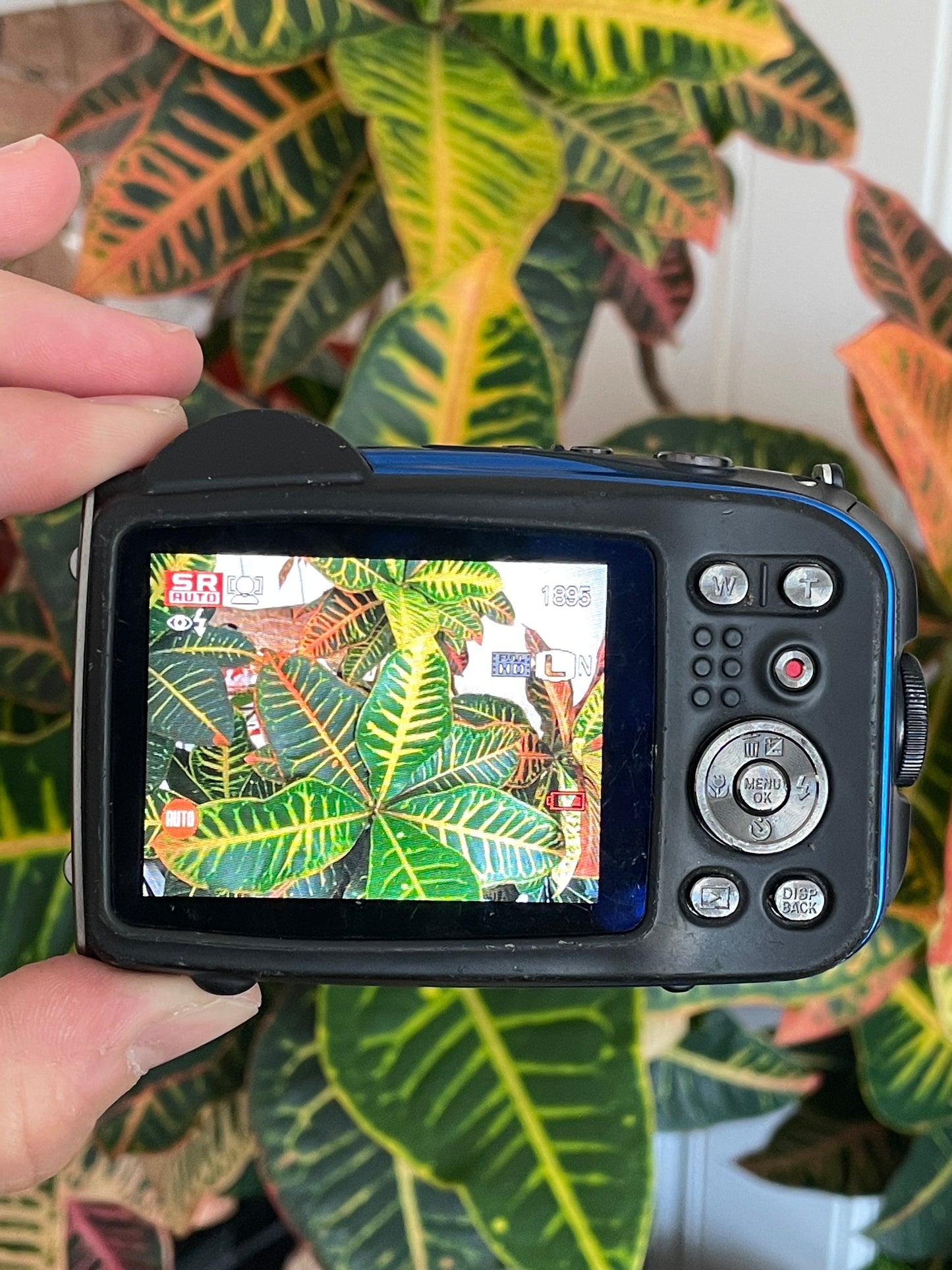 Fujifillm FinePix XP60 16 MP Digital Camera Bundle - Blue