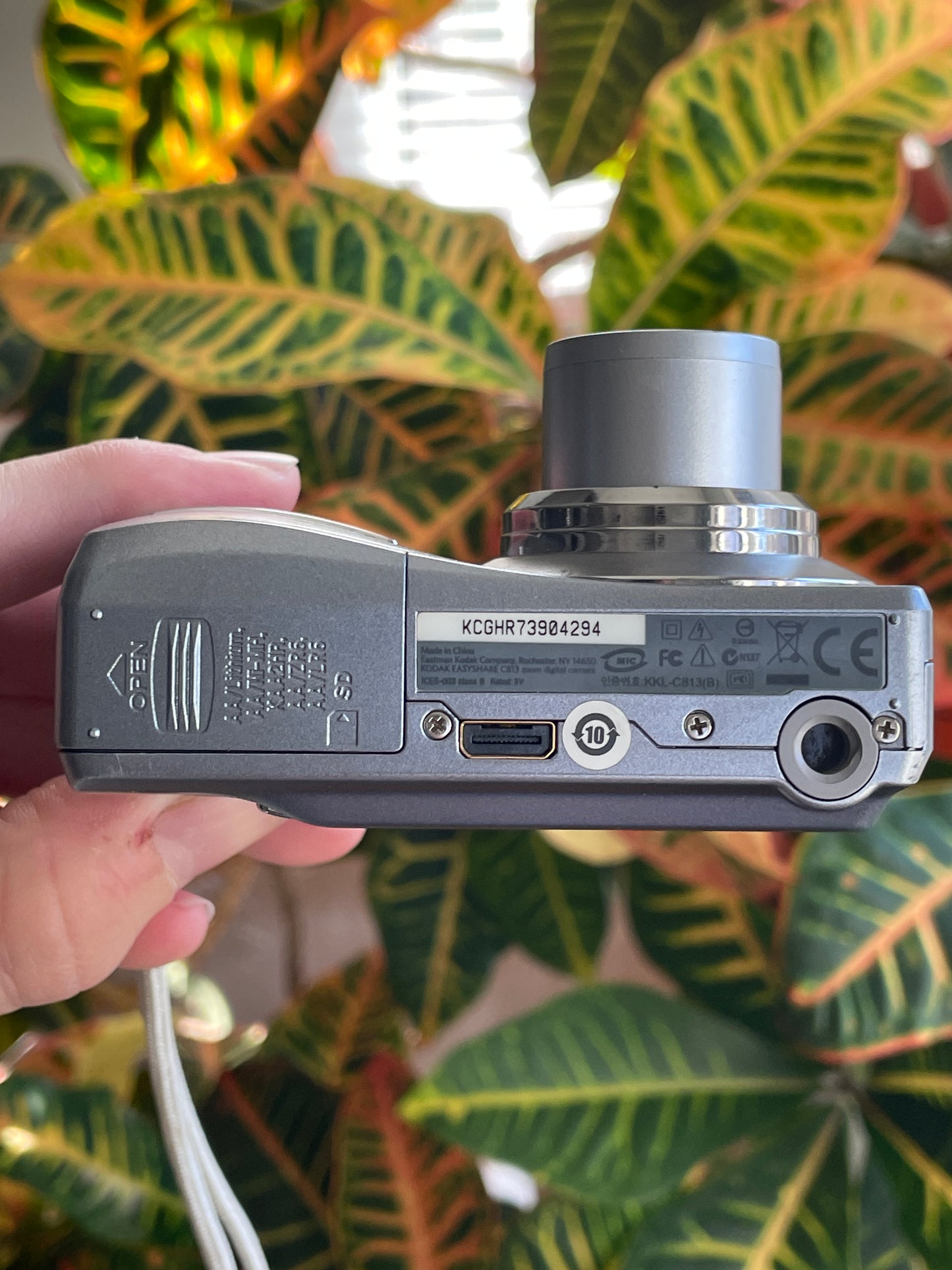 Kodak EasyShare C813 8.2 MP Digital Camera Bundle - Gray