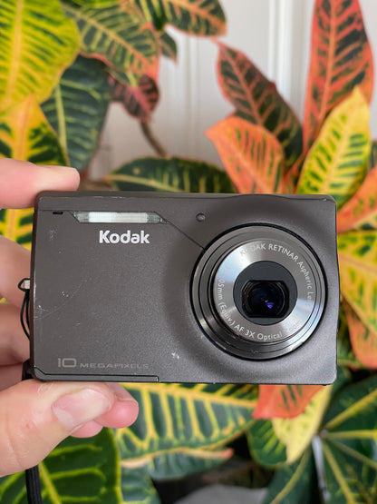 Kodak EasyShare M1033 10.0 MP Digital Camera Bundle