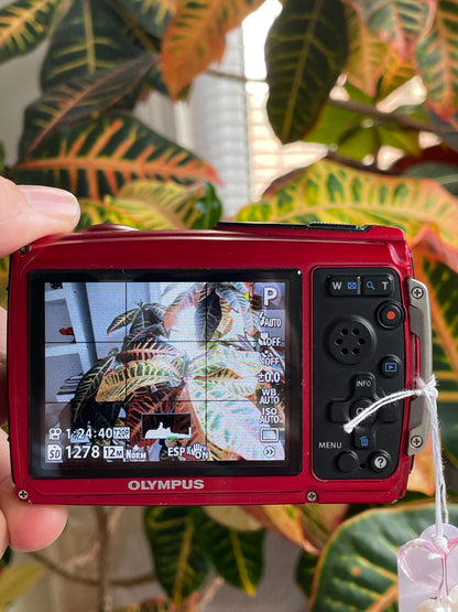Olympus Stylus Tough-3000 12 MP Digital Camera Bundle - Red - In Box