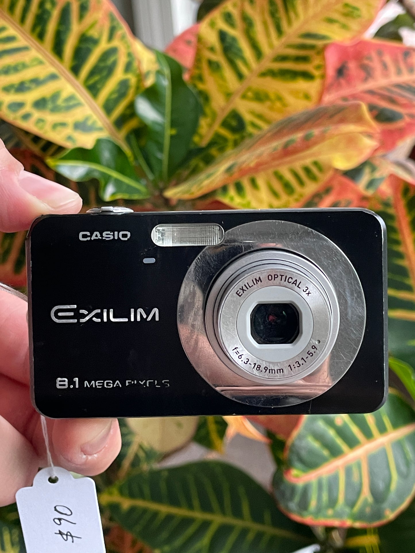 Casio Exilim EX-Z80A 8.1 MP Digital Camera Bundle - Black