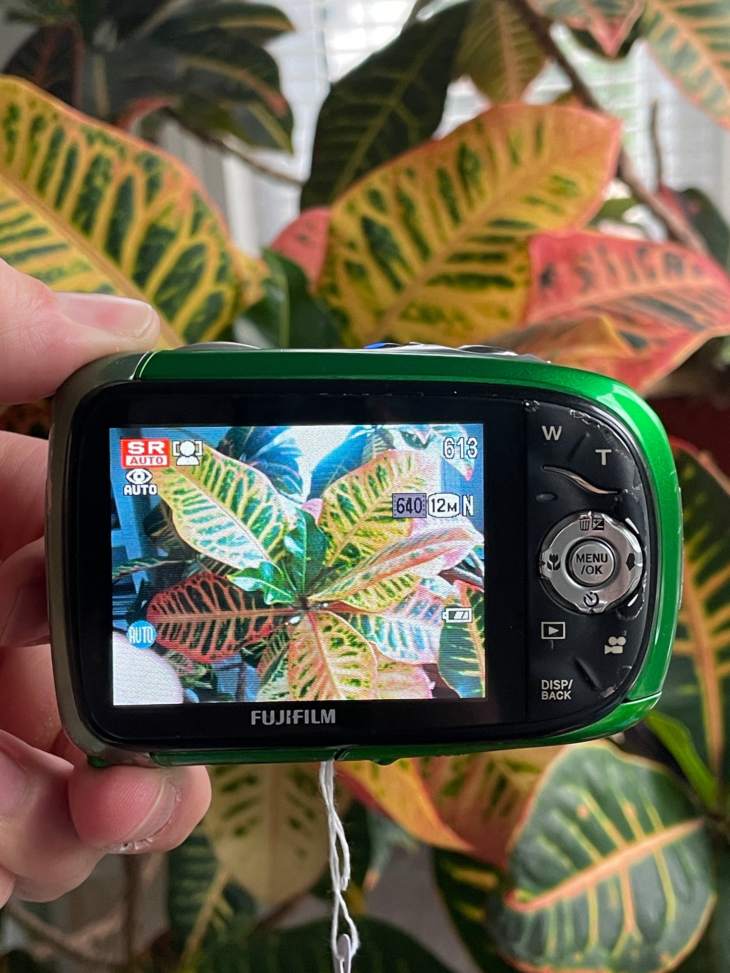 Fujifilm Finepix XP10 12.2 MP Digital Camera Bundle - Green
