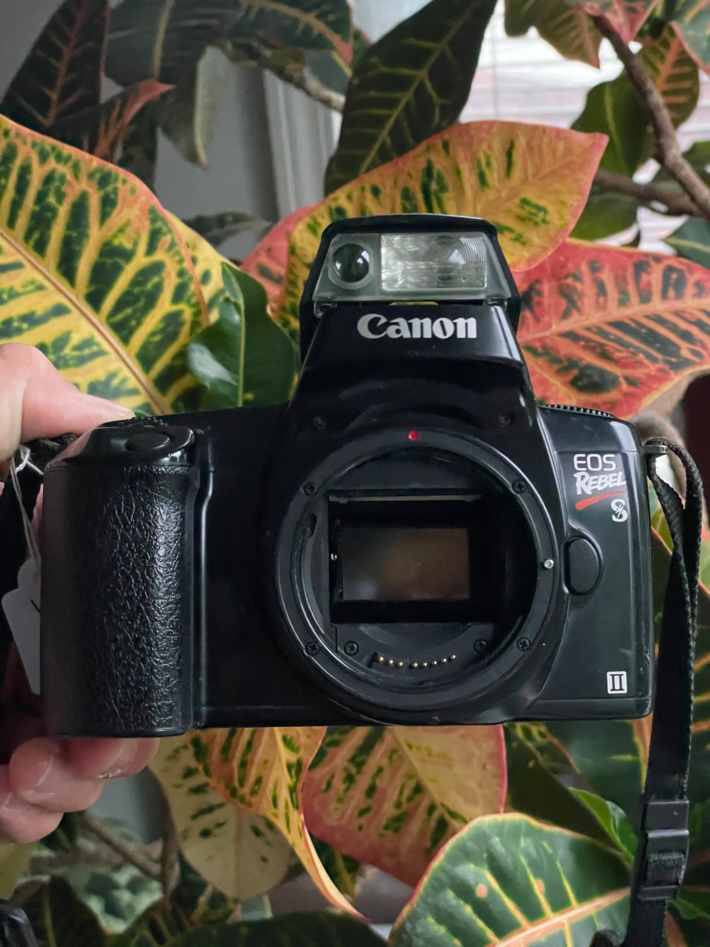 Canon EOS Rebel S II 35 mm Film Camera - Body Only