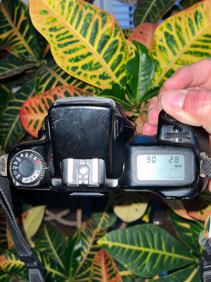 Canon EOS Rebel S II 35 mm Film Camera - Body Only