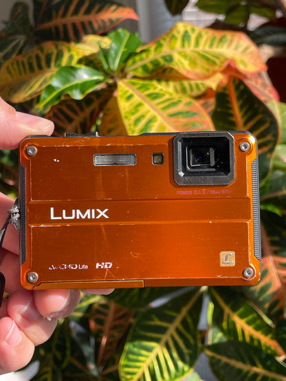 Panasonic Lumix DMC-TS2 14 MP Digital Camera Bundle - Orange