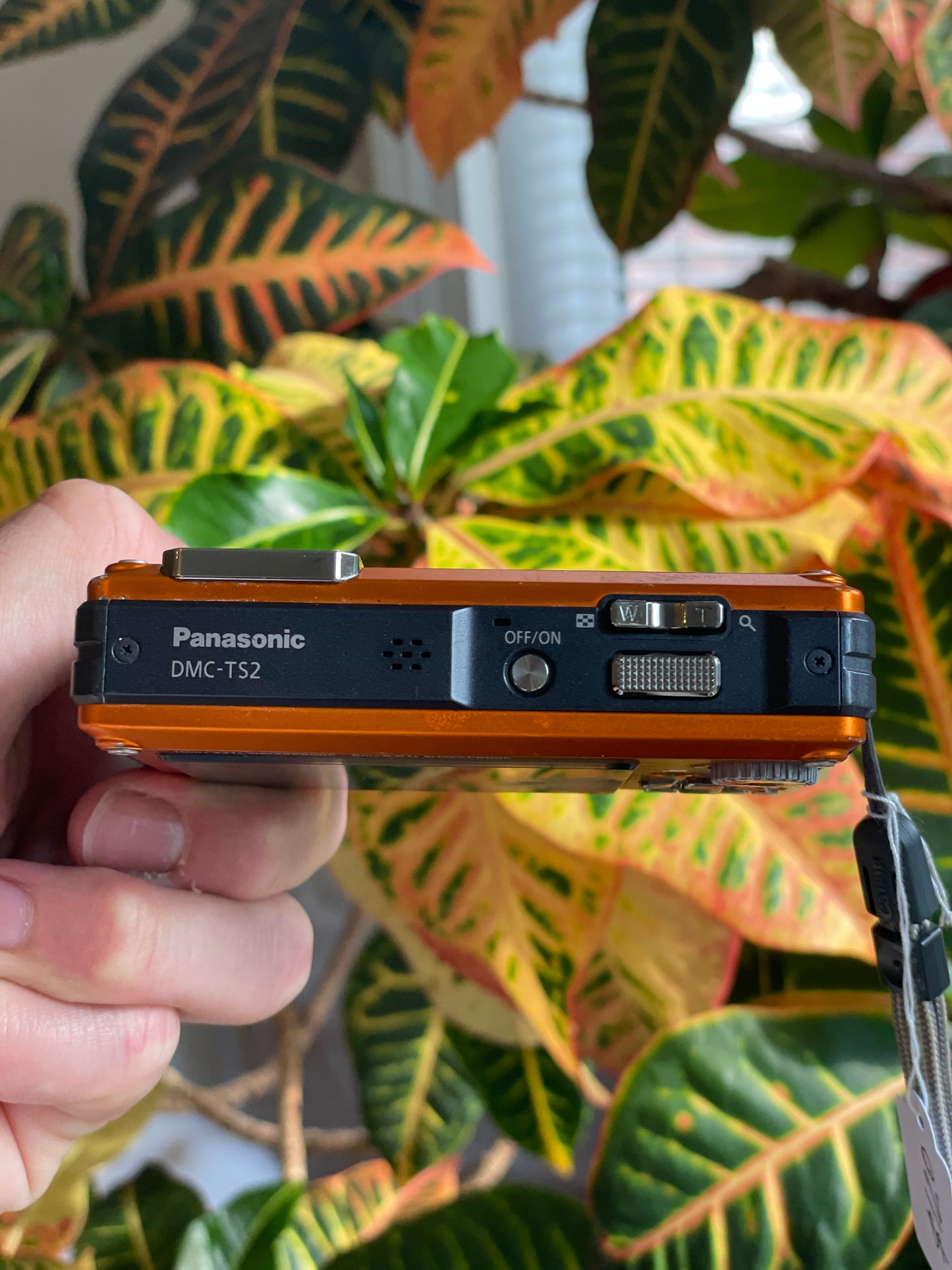 Panasonic Lumix DMC-TS2 14 MP Digital Camera Bundle - Orange