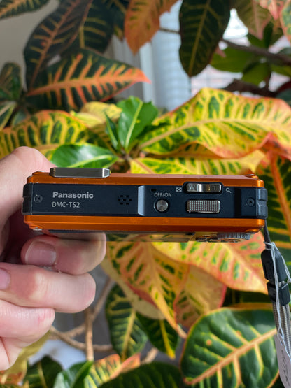 Panasonic Lumix DMC-TS2 14 MP Digital Camera Bundle - Orange