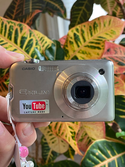 Casio Exilim EX-S12 12.1 MP Digital Camera Bundle - Silver