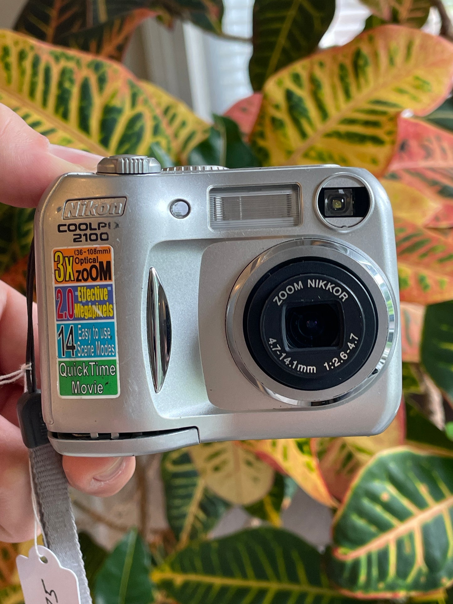 Nikon Coolpix 2100 2 MP Digital Camera Bundle - Silver