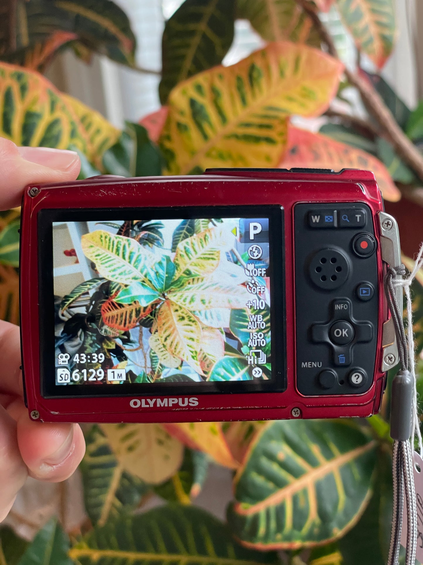 Olympus Stylus Tough-3000 12 MP Digital Camera Bundle - Red