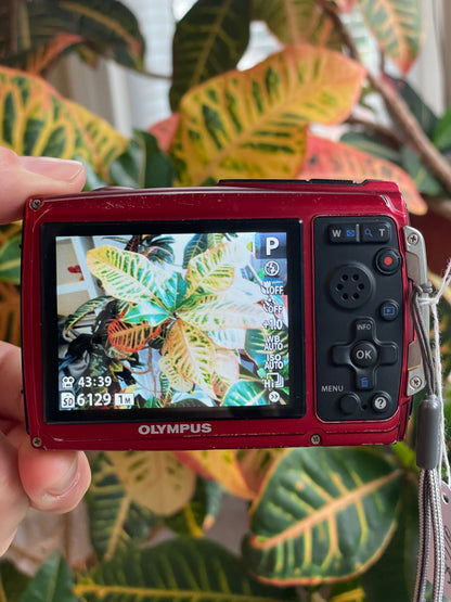 Olympus Stylus Tough-3000 12 MP Digital Camera Bundle - Red
