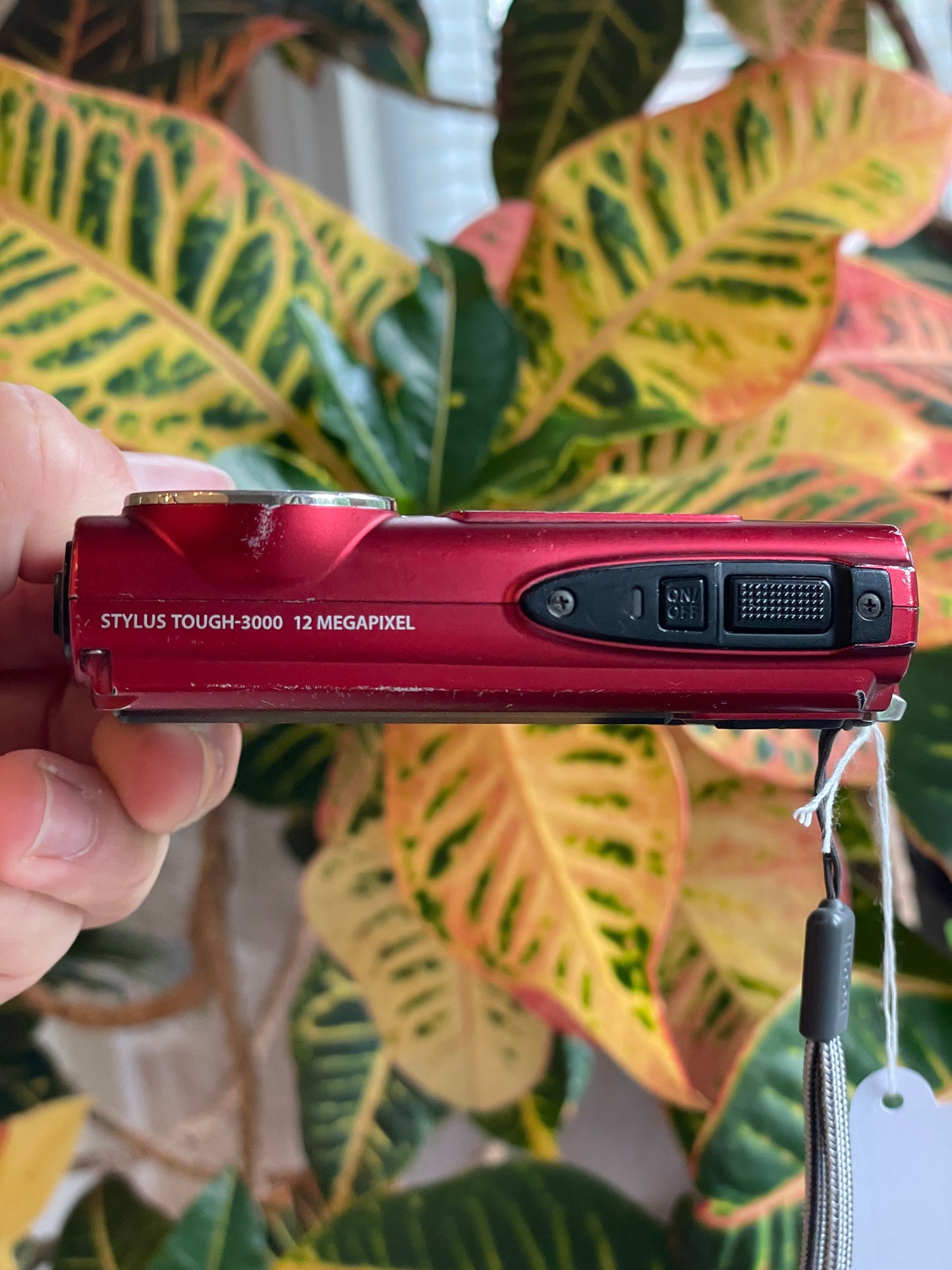 Olympus Stylus Tough-3000 12 MP Digital Camera Bundle - Red