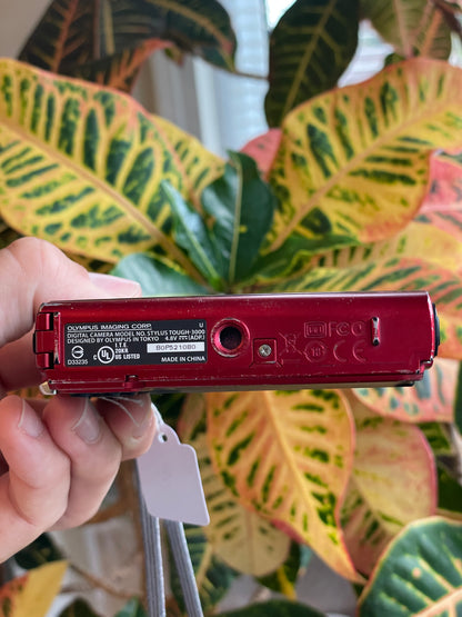 Olympus Stylus Tough-3000 12 MP Digital Camera Bundle - Red