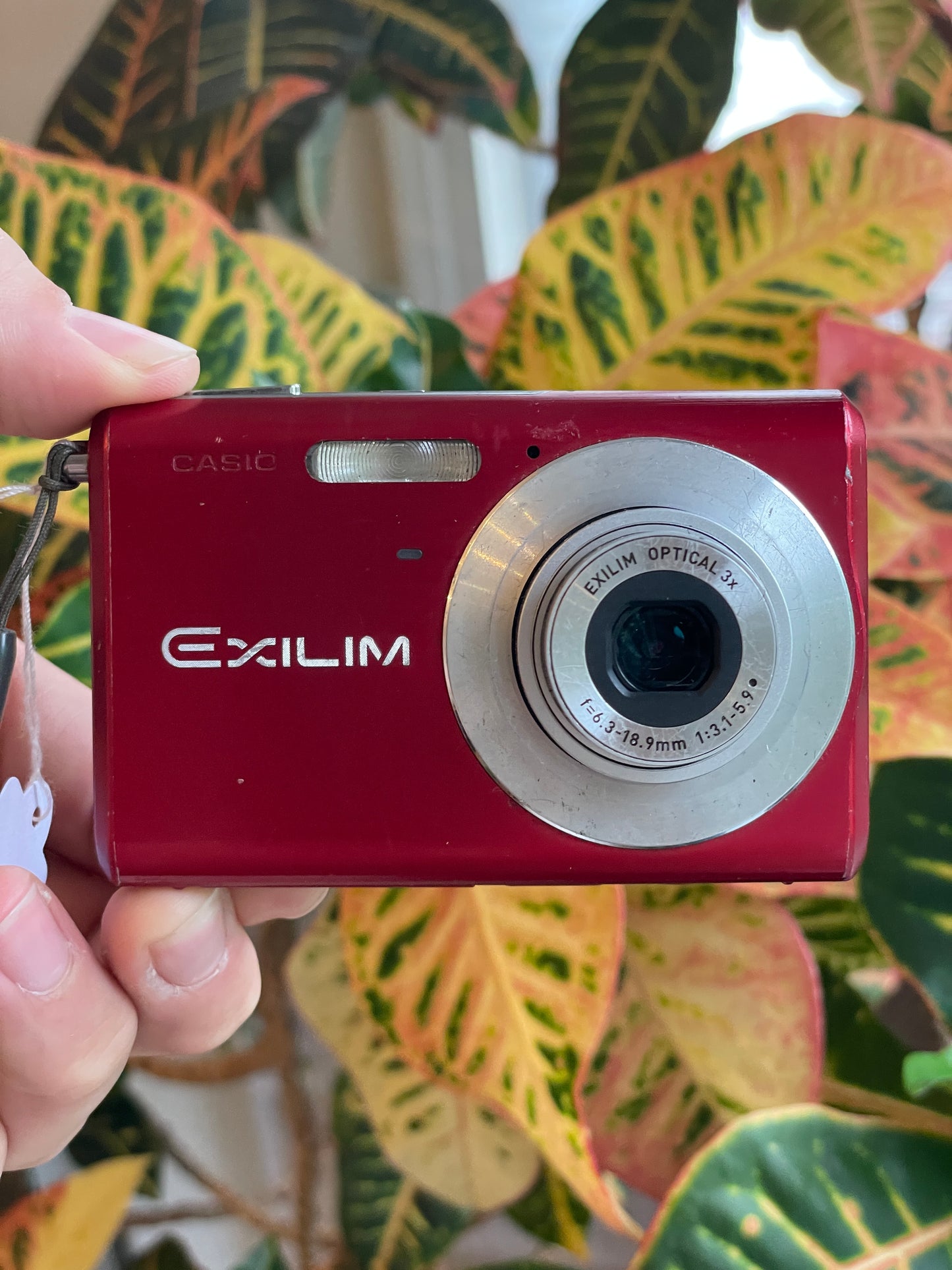 Casio Exilim EX-Z60 6.0 MP Digital Camera Bundle - Red