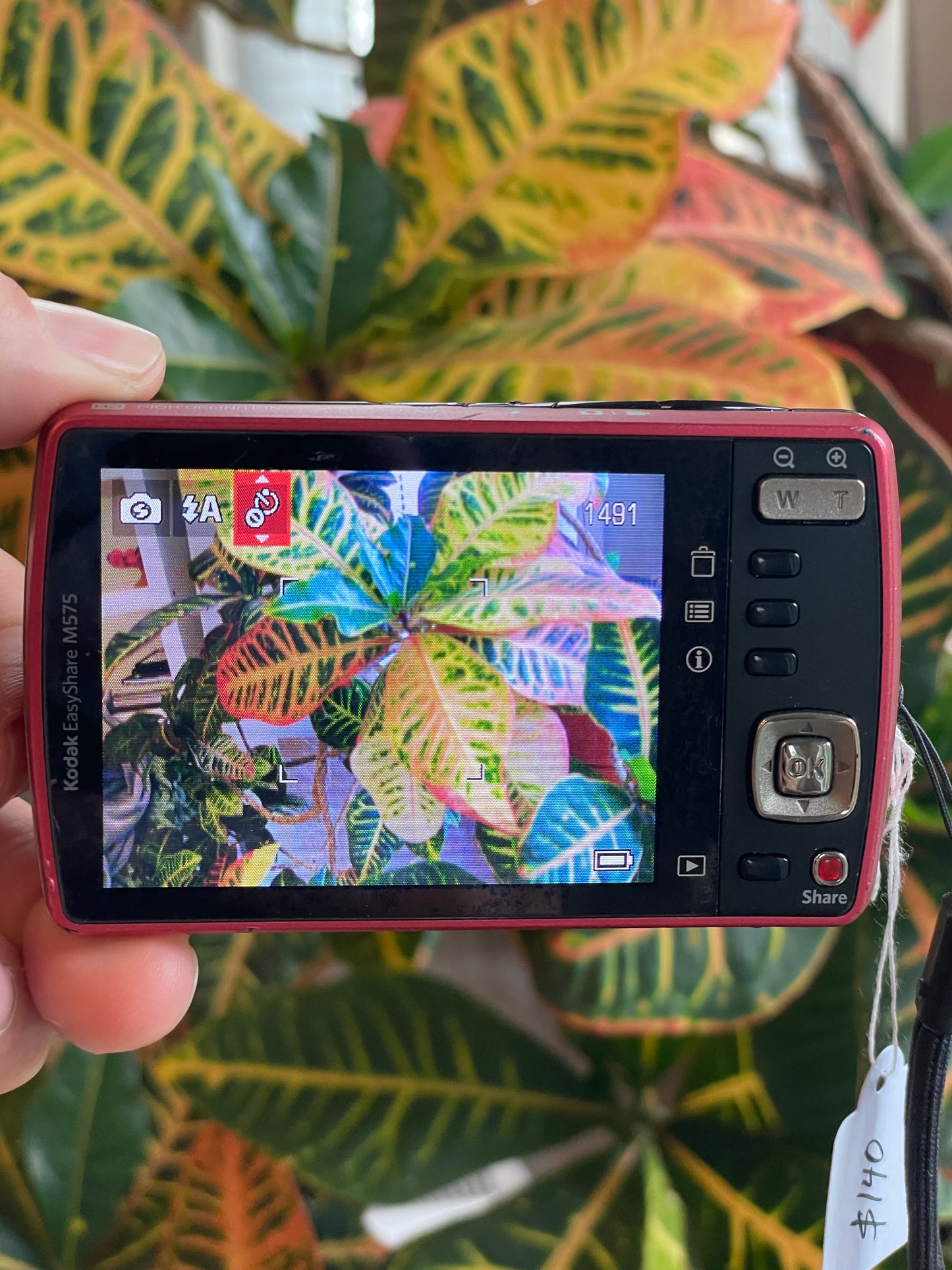 Kodak EasyShare M575 14 MP Digital Camera Bundle - Red
