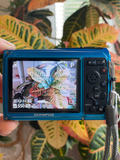 Olympus Tough TG-320 14 MP Digital Camera Bundle - Blue