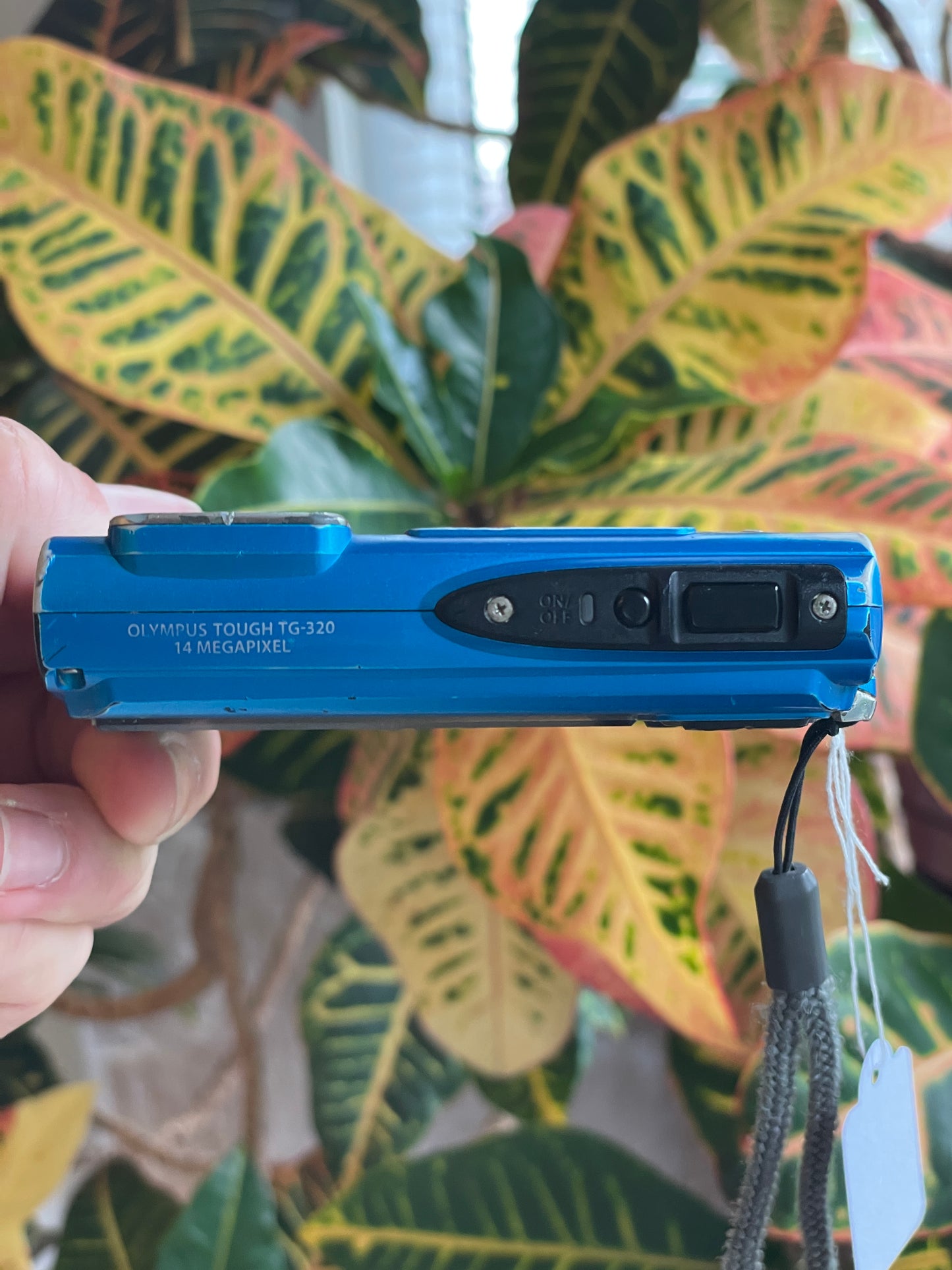 Olympus Tough TG-320 14 MP Digital Camera Bundle - Blue