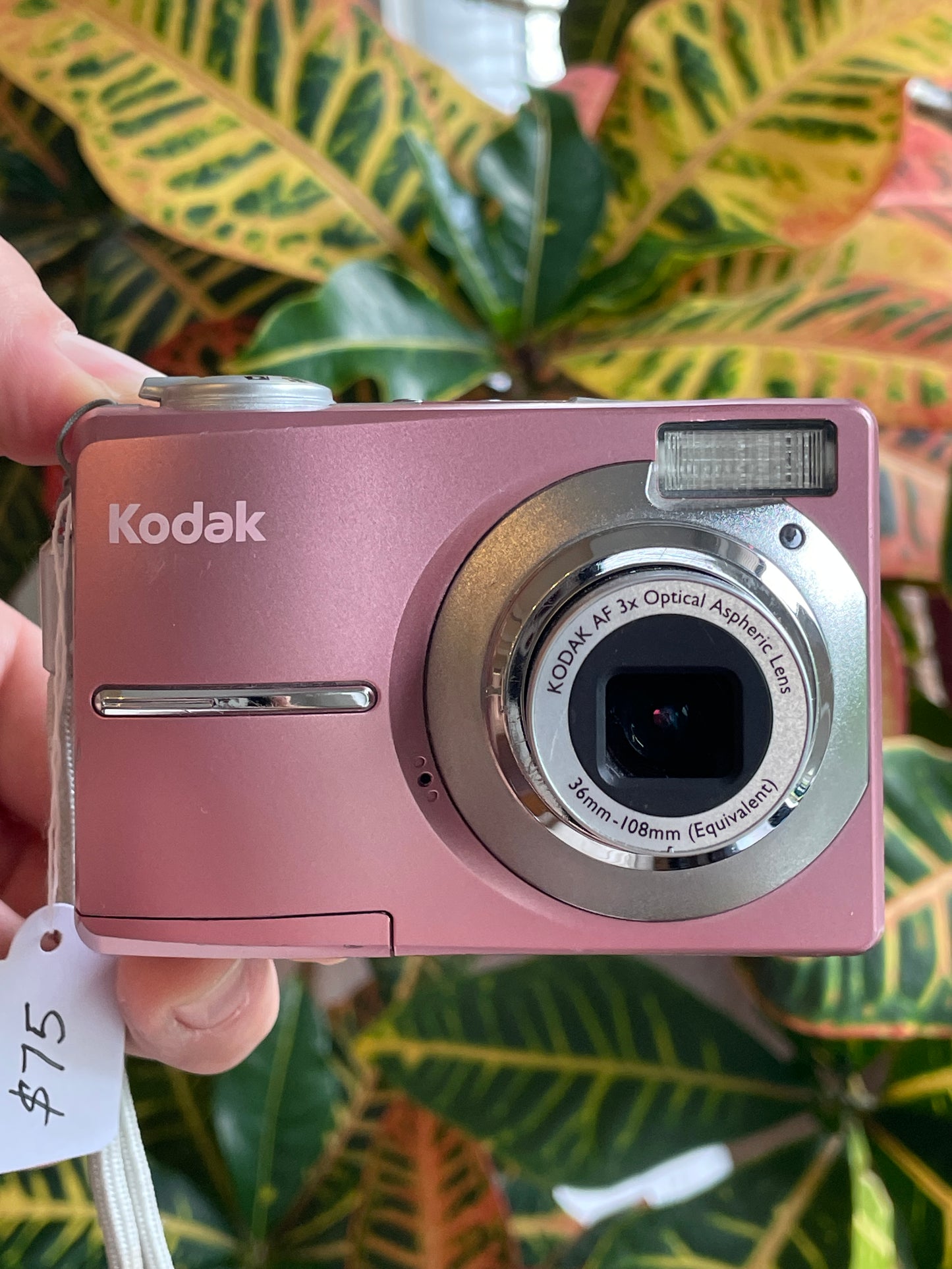 Kodak EasyShare C813 8.2 MP Digital Camera Bundle - Pink