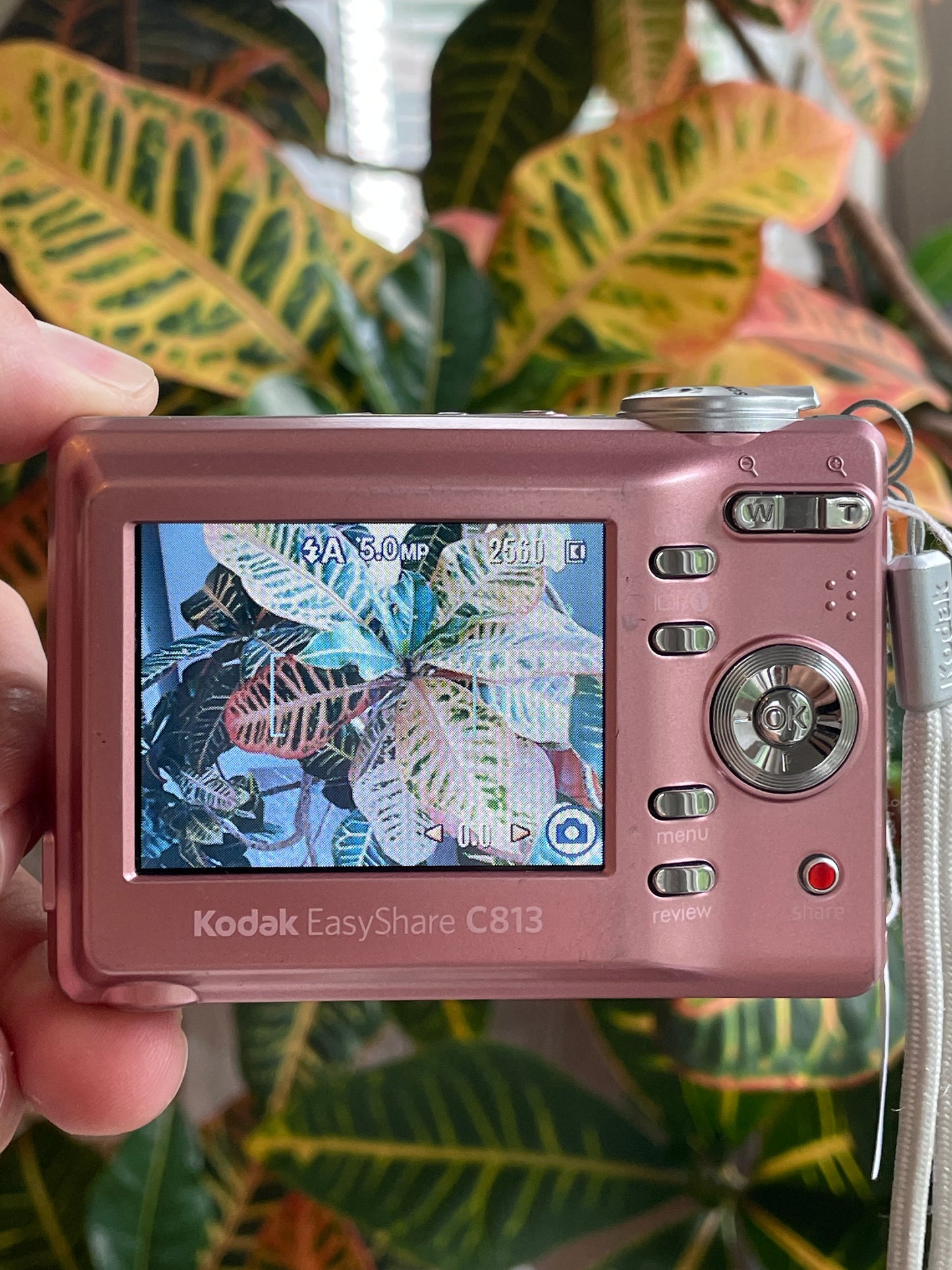 Kodak EasyShare C813 8.2 MP Digital Camera Bundle - Pink