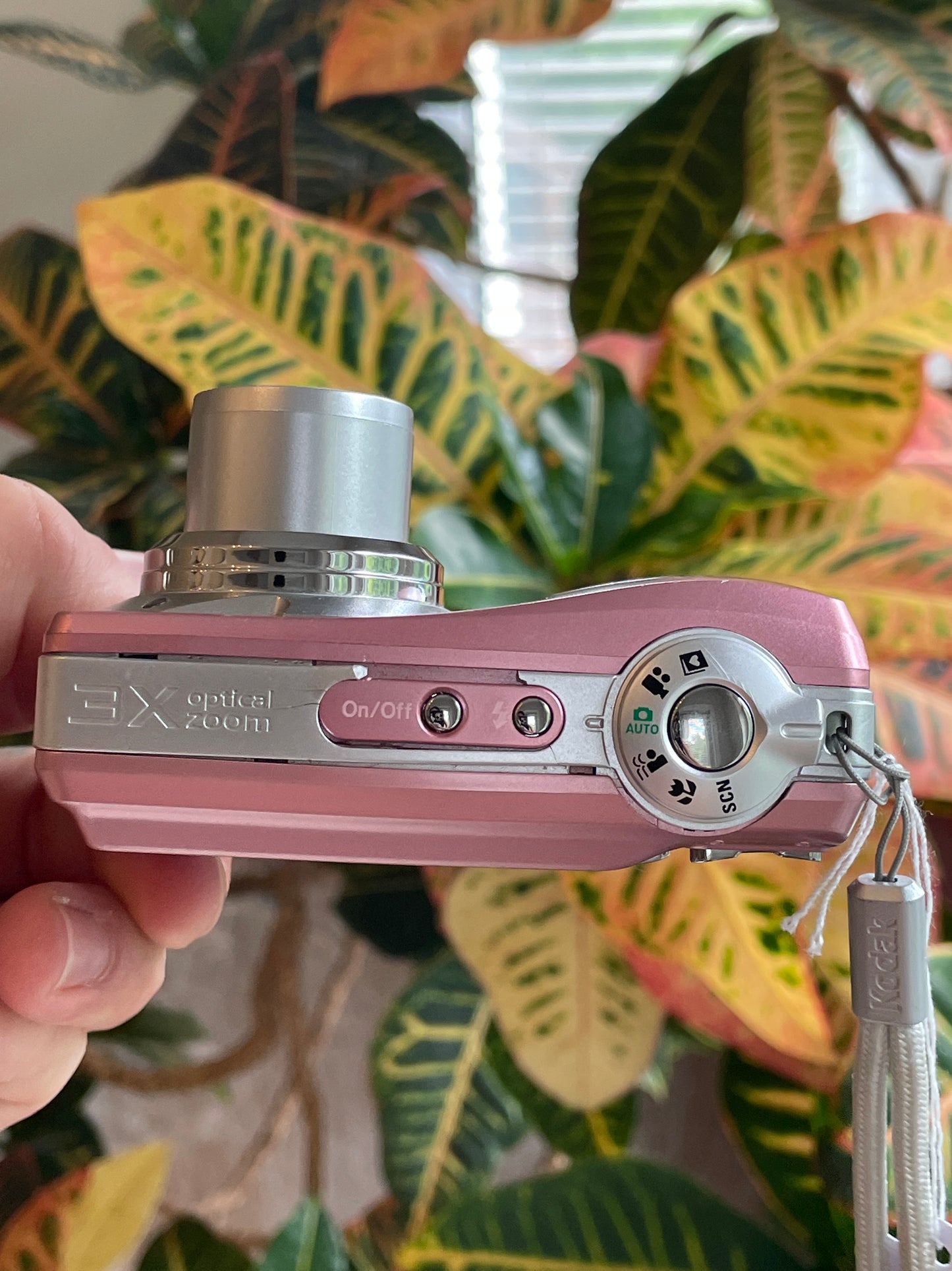 Kodak EasyShare C813 8.2 MP Digital Camera Bundle - Pink