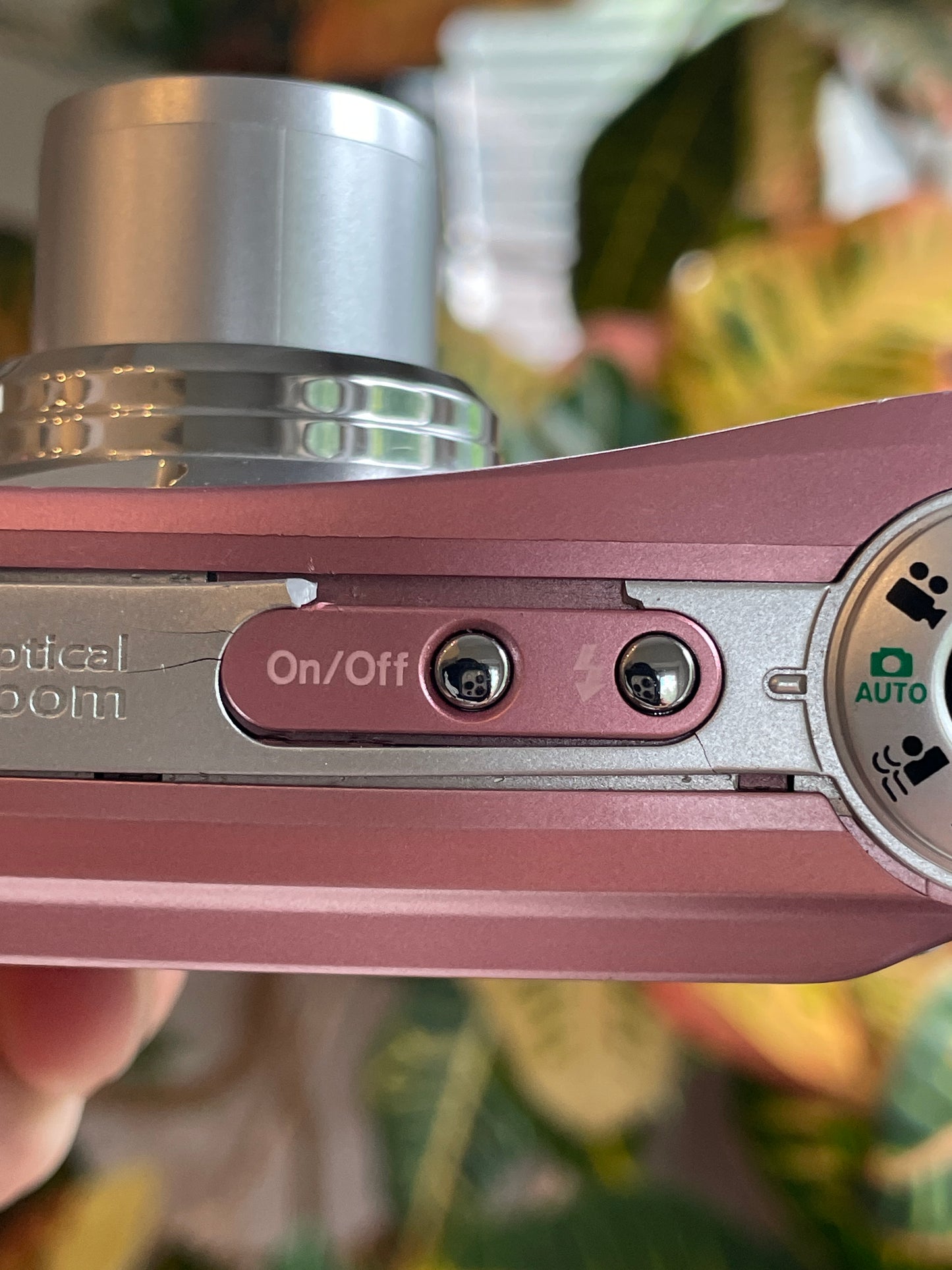Kodak EasyShare C813 8.2 MP Digital Camera Bundle - Pink