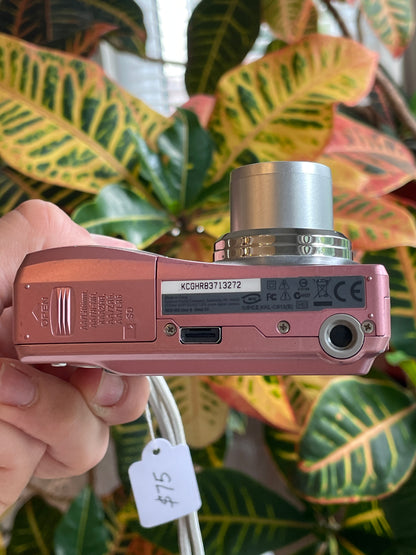 Kodak EasyShare C813 8.2 MP Digital Camera Bundle - Pink