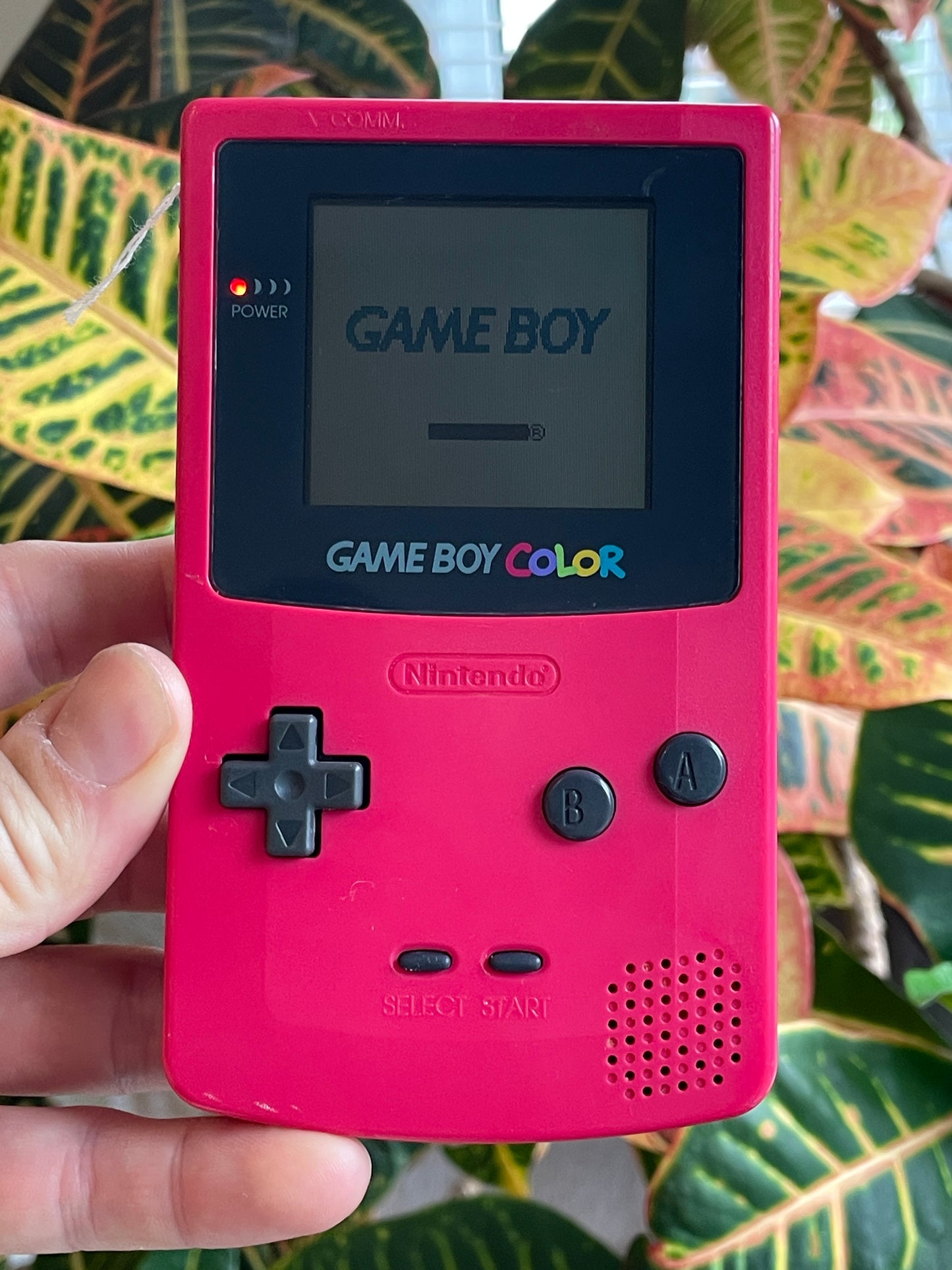 GameBoy Color - Berry c. 1998