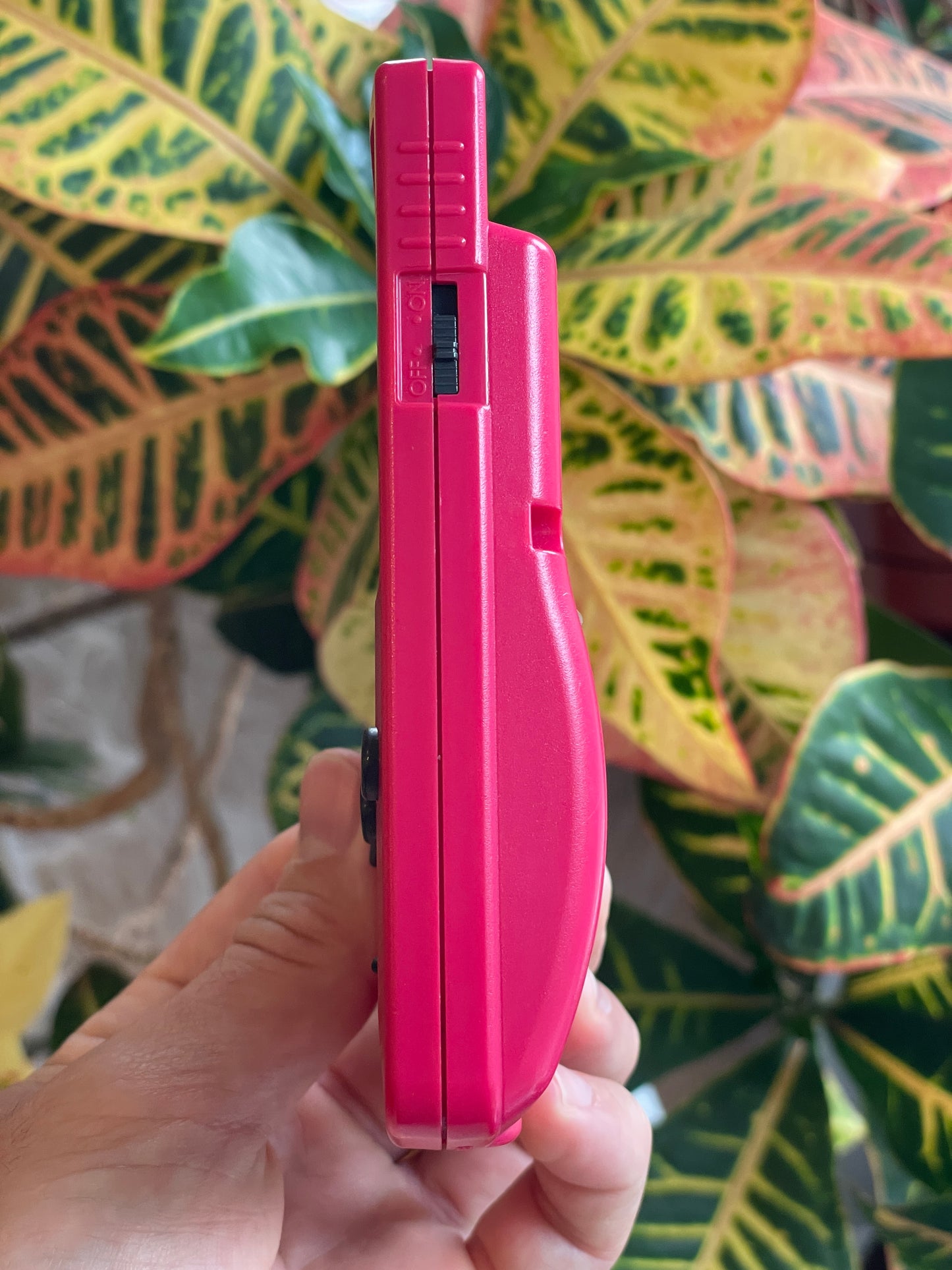 GameBoy Color - Berry c. 1998