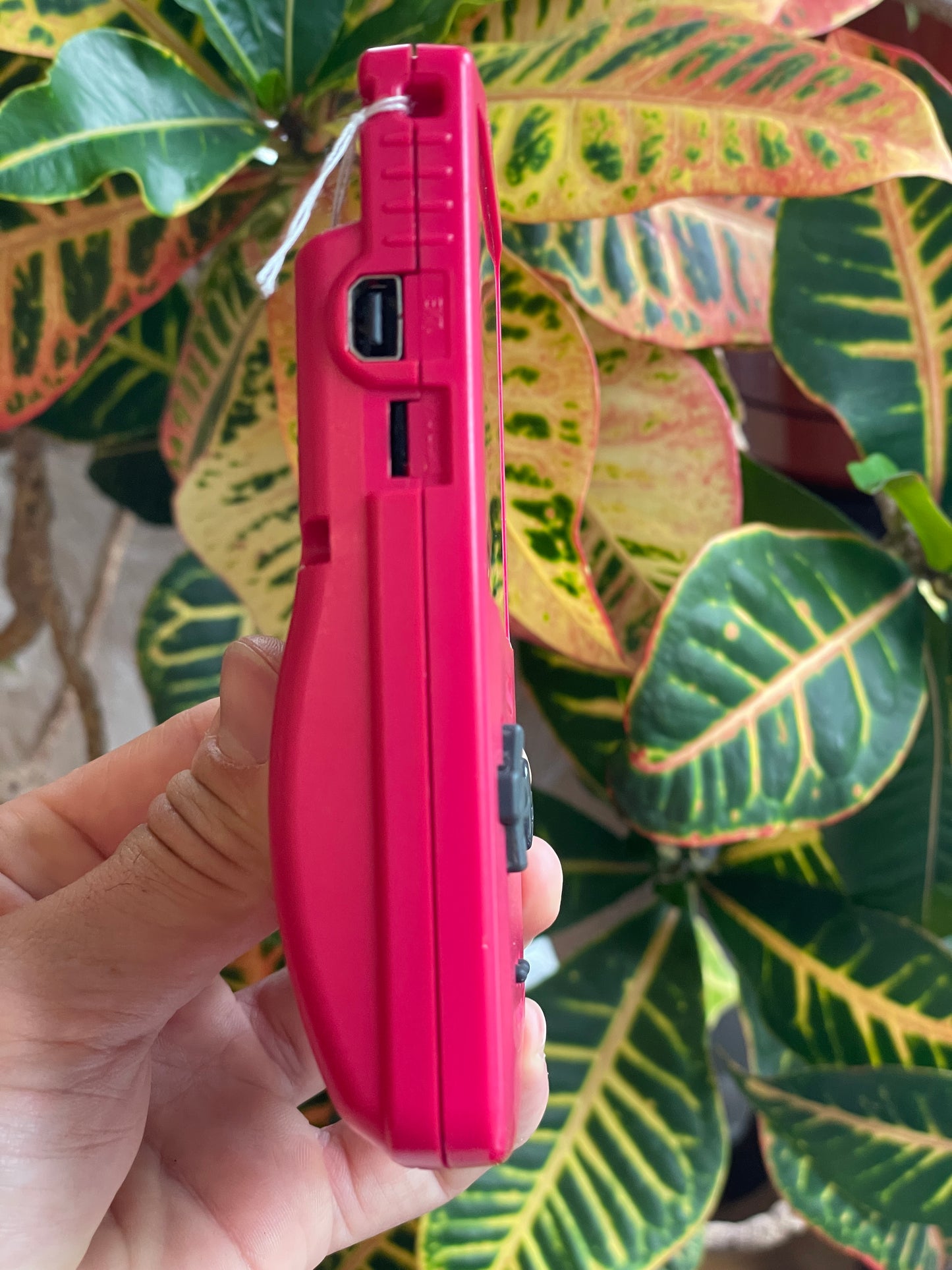 GameBoy Color - Berry c. 1998