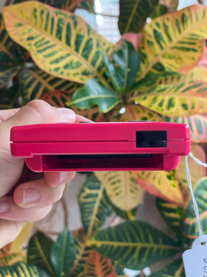 GameBoy Color - Berry c. 1998