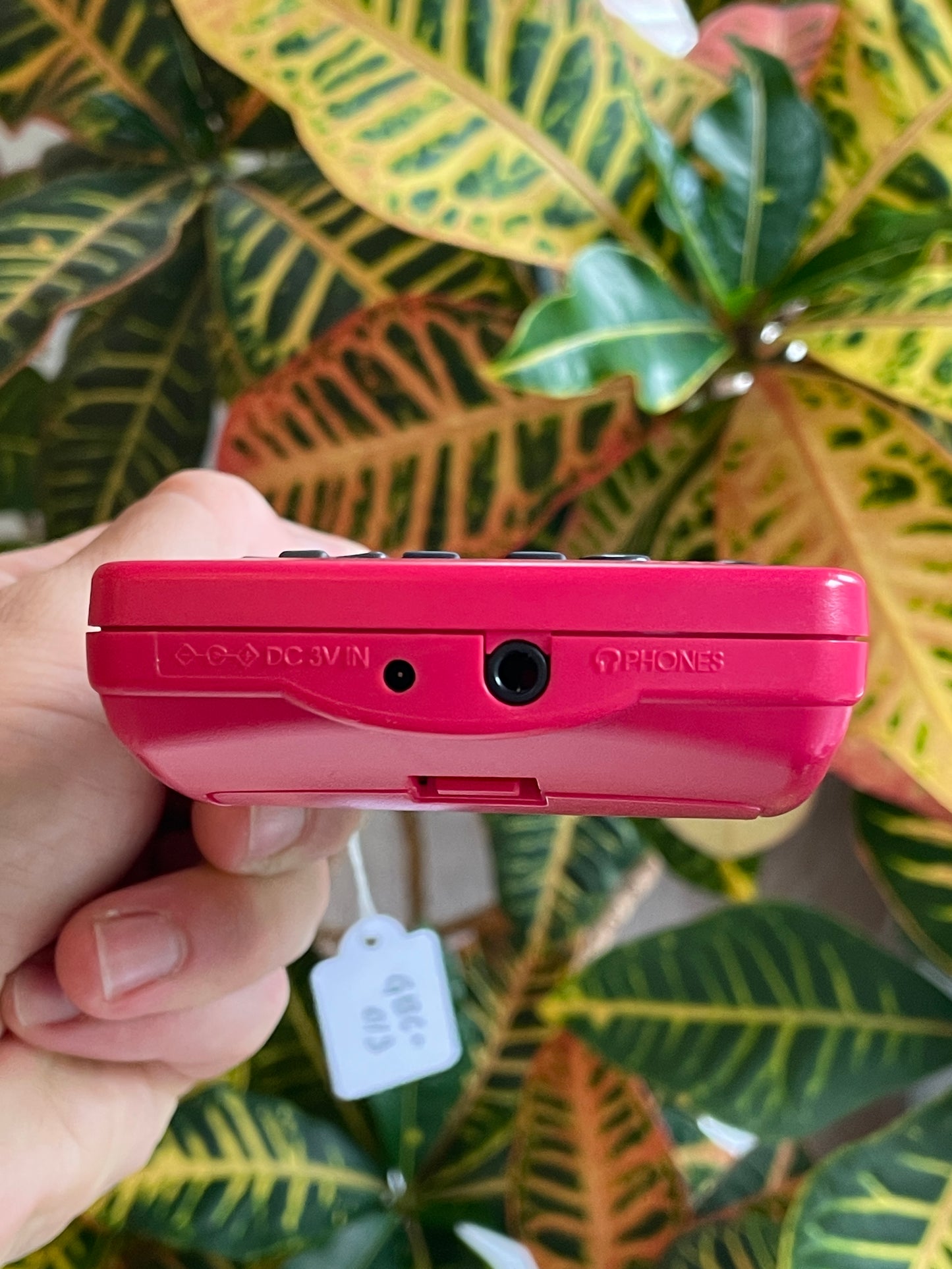 GameBoy Color - Berry c. 1998